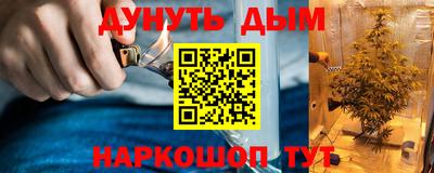 крисы Бузулук