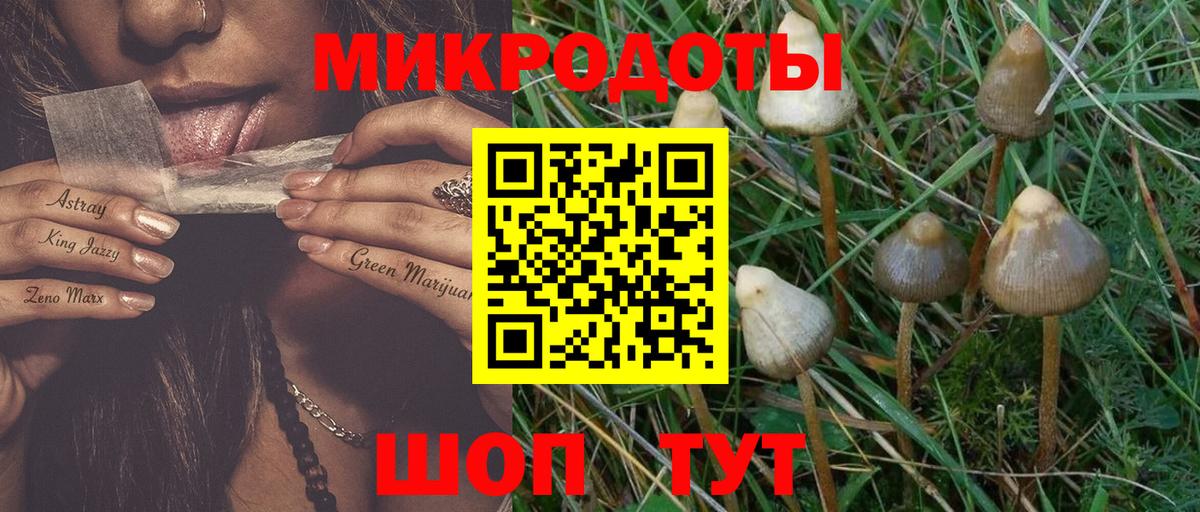 Галлюциногенные грибы GOLDEN TEACHER Нефтекумск