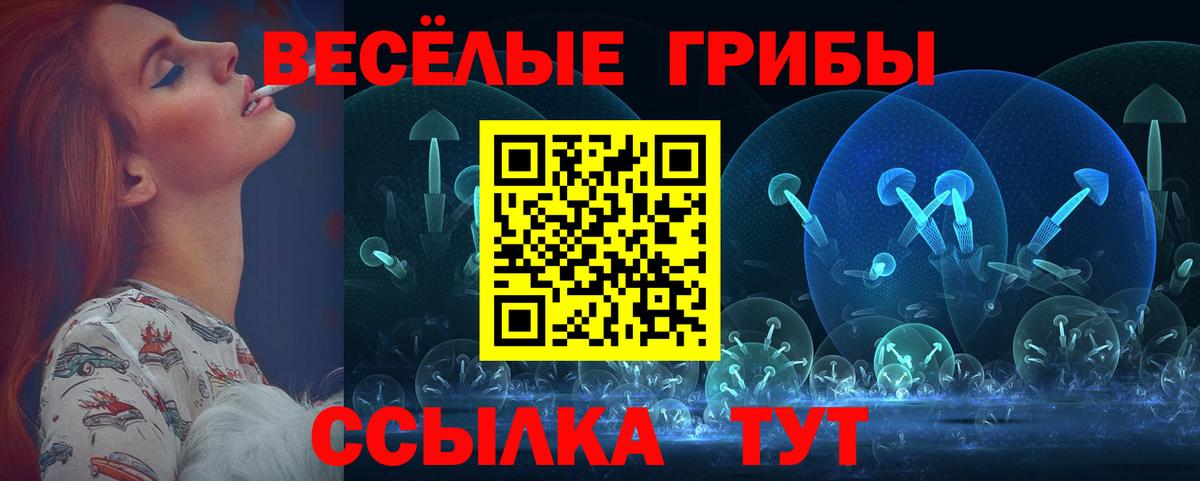 Нефтекумск  купить   Вход с VPN  Псилоцибиновые грибы Psilocybine cubensis 